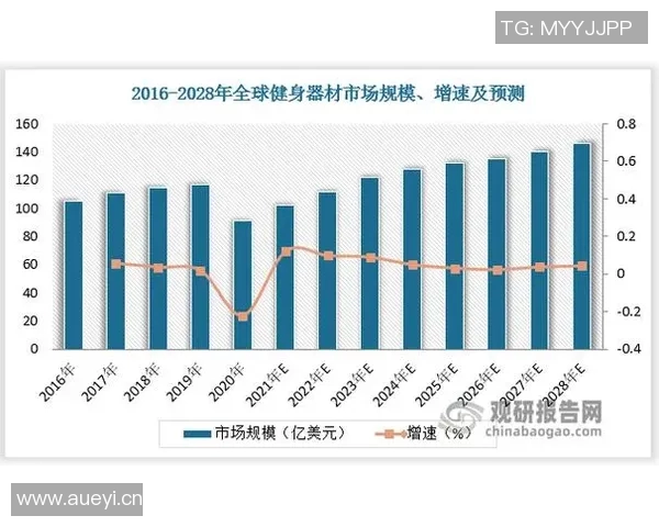清远健身器材设备市场及主流品牌分析